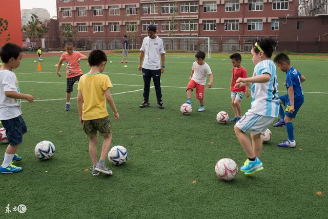 孙兴慜连续第八年登顶韩国年度最闪耀体育明星榜